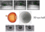 alt "3D Eyeball generation based on vein motion"