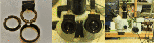 EyeMic, a binocular eye tracker that can be attached on top of any microscope ocular